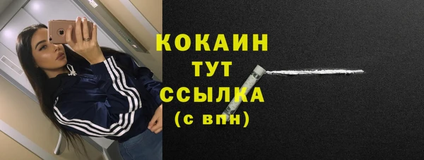 дживик Белоозёрский