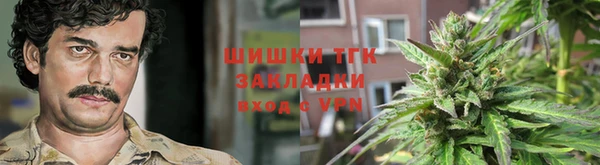 кокс Белокуриха