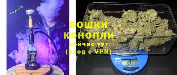 кокс Белокуриха
