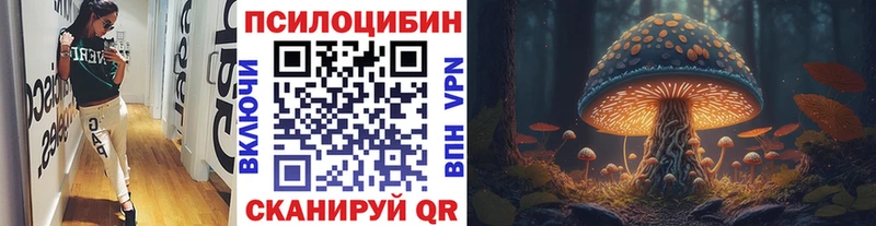 Галлюциногенные грибы Psilocybe  Пионерский 